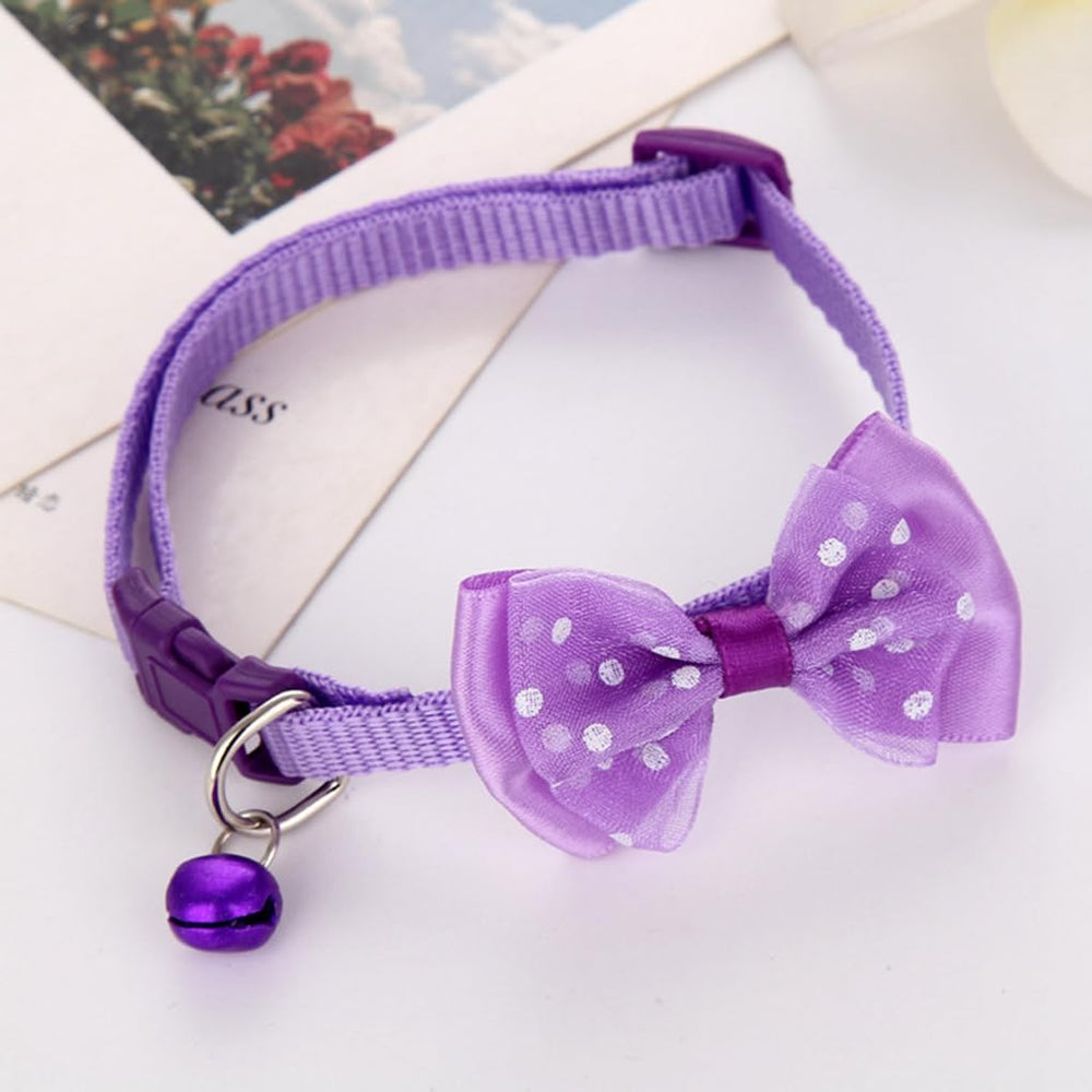 WeimoMonkey small-pet collar setup demonstrates easy wear and style mix