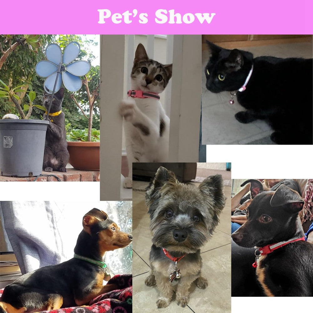 WeimoMonkey two-pack dog and cat collars highlighting reflective straps for safety.