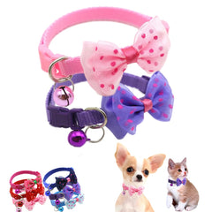 WeimoMonkey XXS pink bell dog collar for nighttime visibility on walks