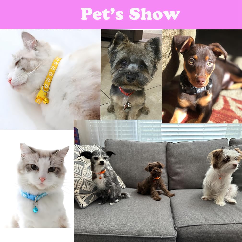 WeimoMonkey paw-print leash on both sides highlights durability and playful style.