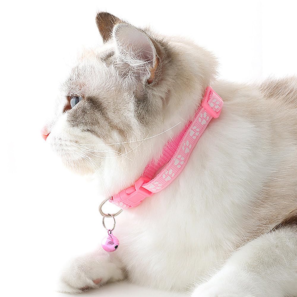 Weimostar nylon soft adjustable collar closeup highlighting durable, lightweight daily wear.