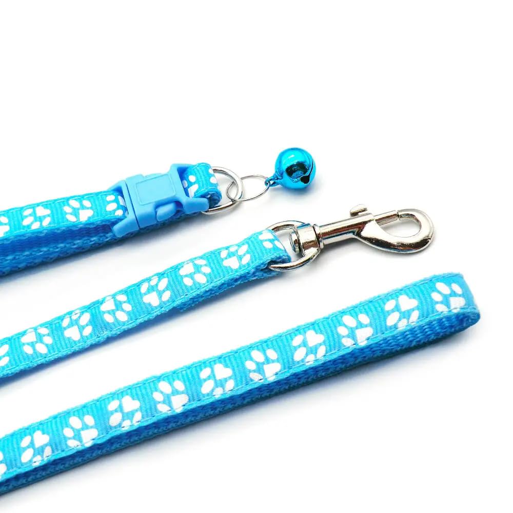 Weimostar puppy-teacup collar set ideal for tiny companions during outings.