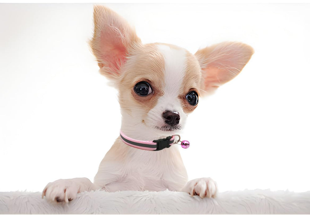 Weimostar reflective small dog collar demonstrates high visibility for safe walks.