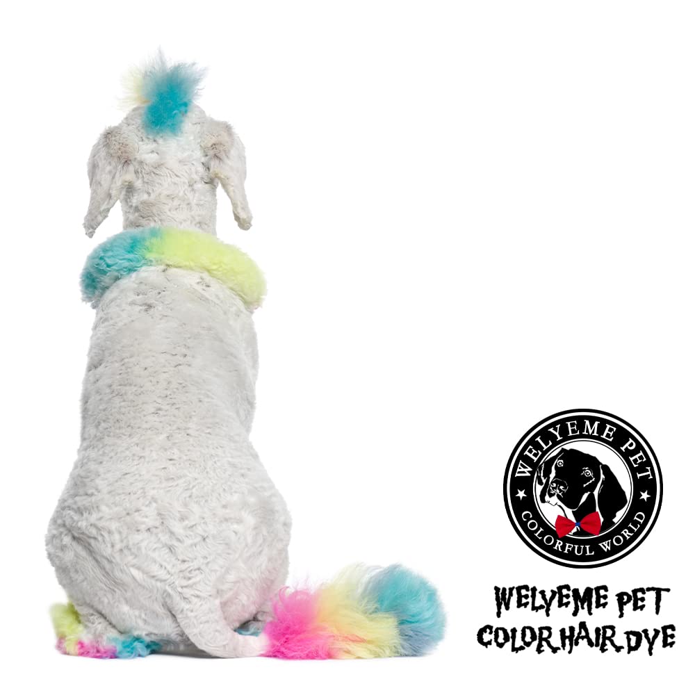 WELYEME Rainbow Pet Hair Dye on light fur highlights bright color on white coats