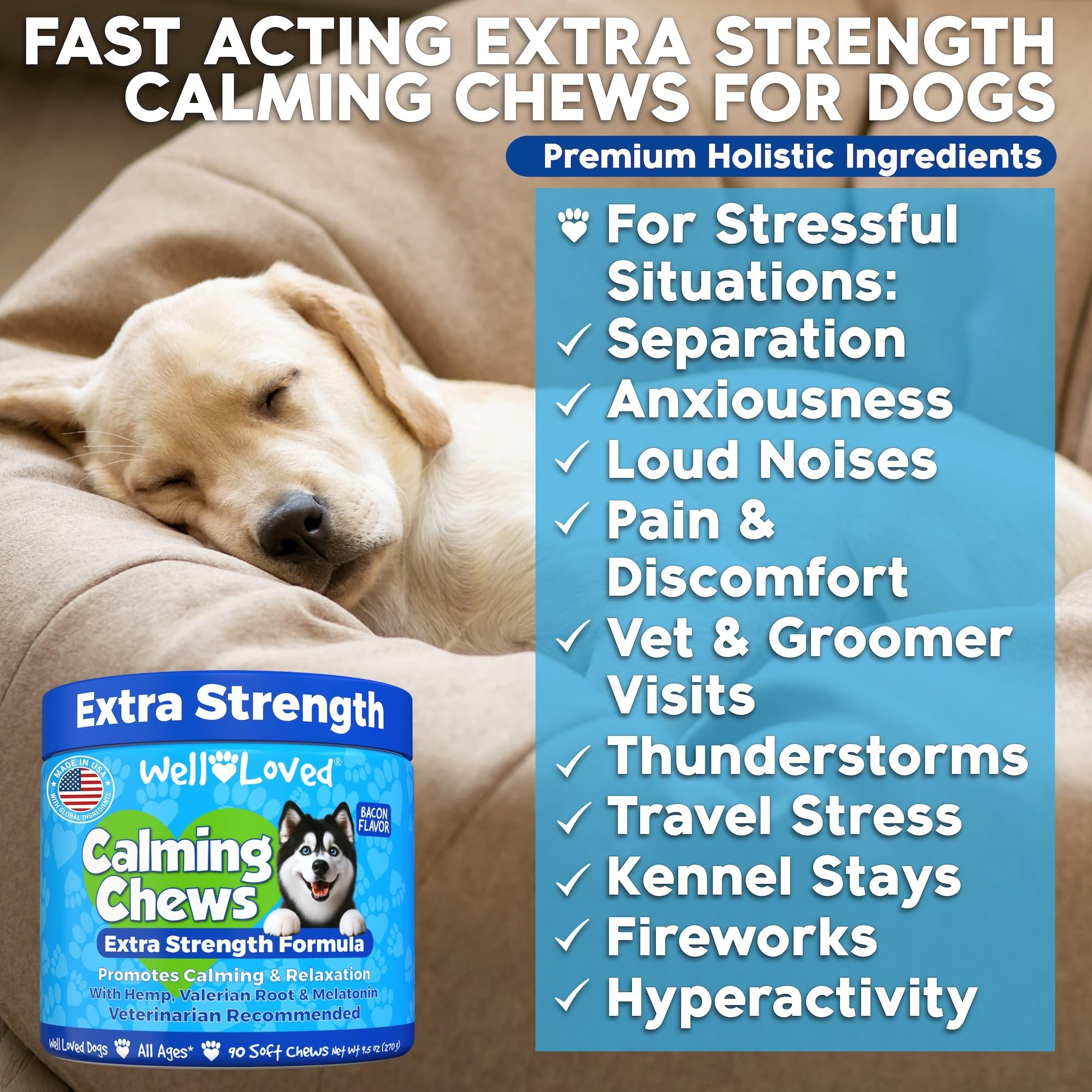 Well Loved Calming Chews dog treats jar closeup shows USA made vet recommended calming.