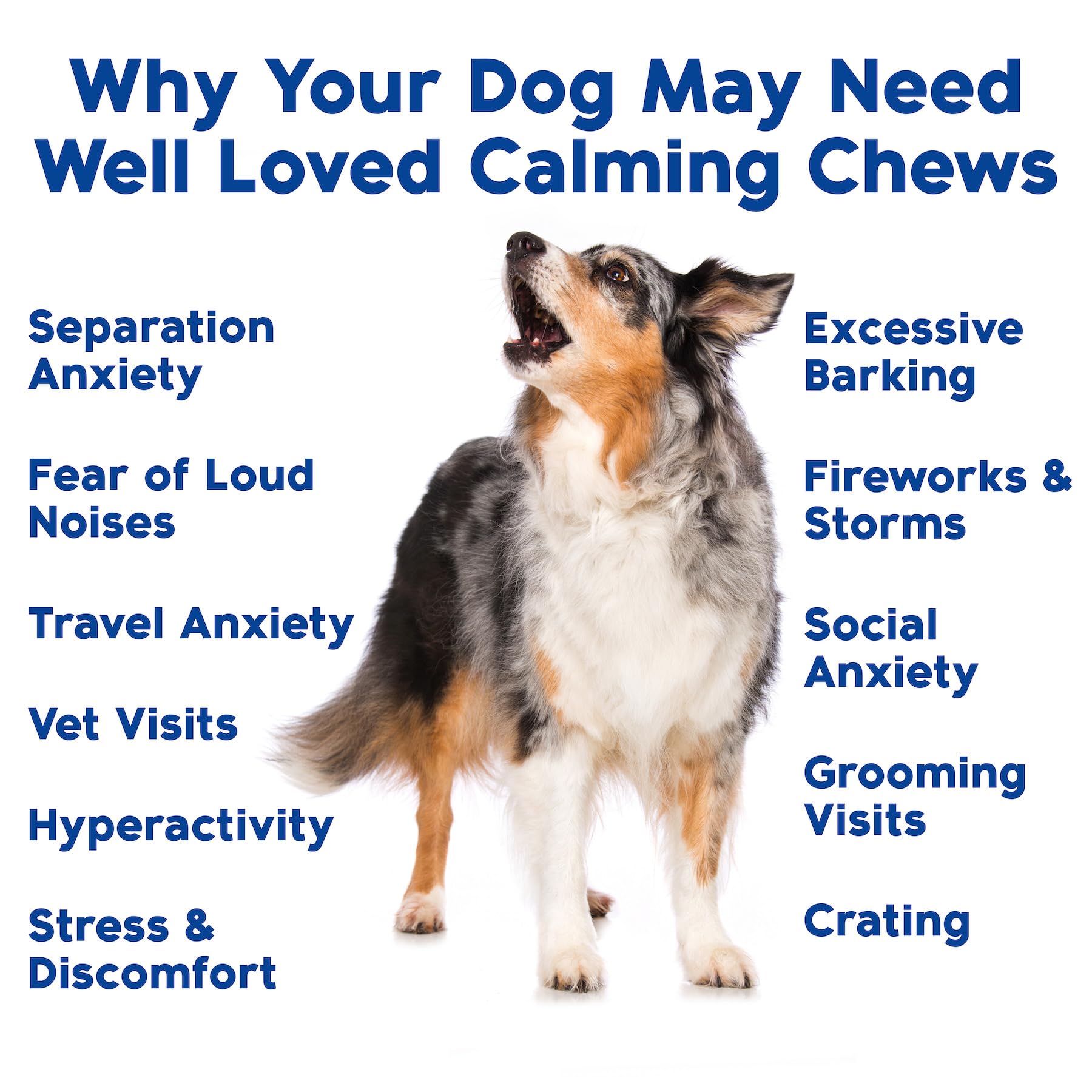 Well Loved Calming Chews travel bag shows portable calming option for car rides and trips.