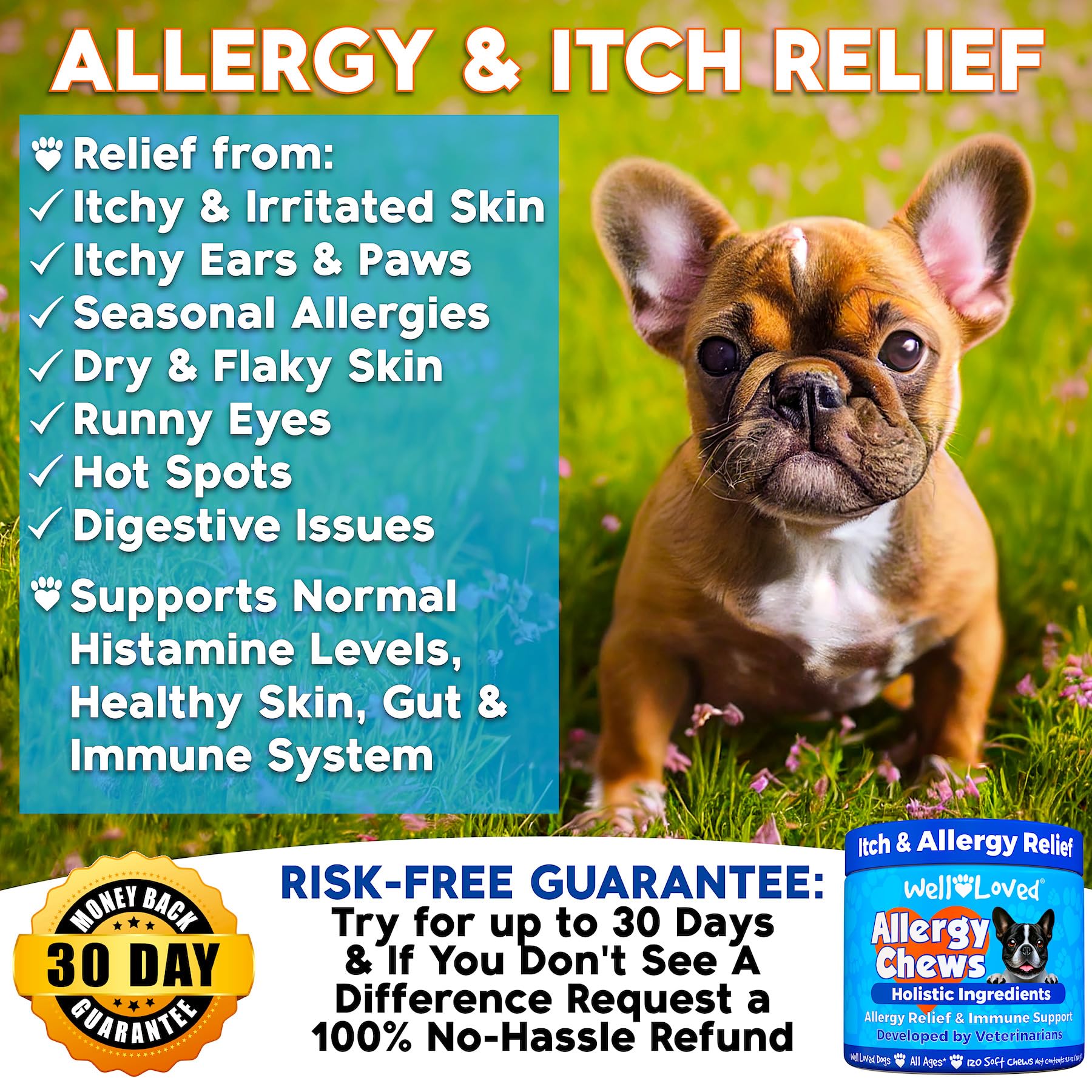 Well Loved Dog Allergy Chews ingredients label emphasizes omega-3 and natural antioxidants.