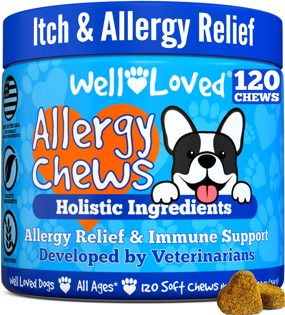 Well Loved Dog Allergy Chews packaging highlights vet-developed relief for itchy skin.