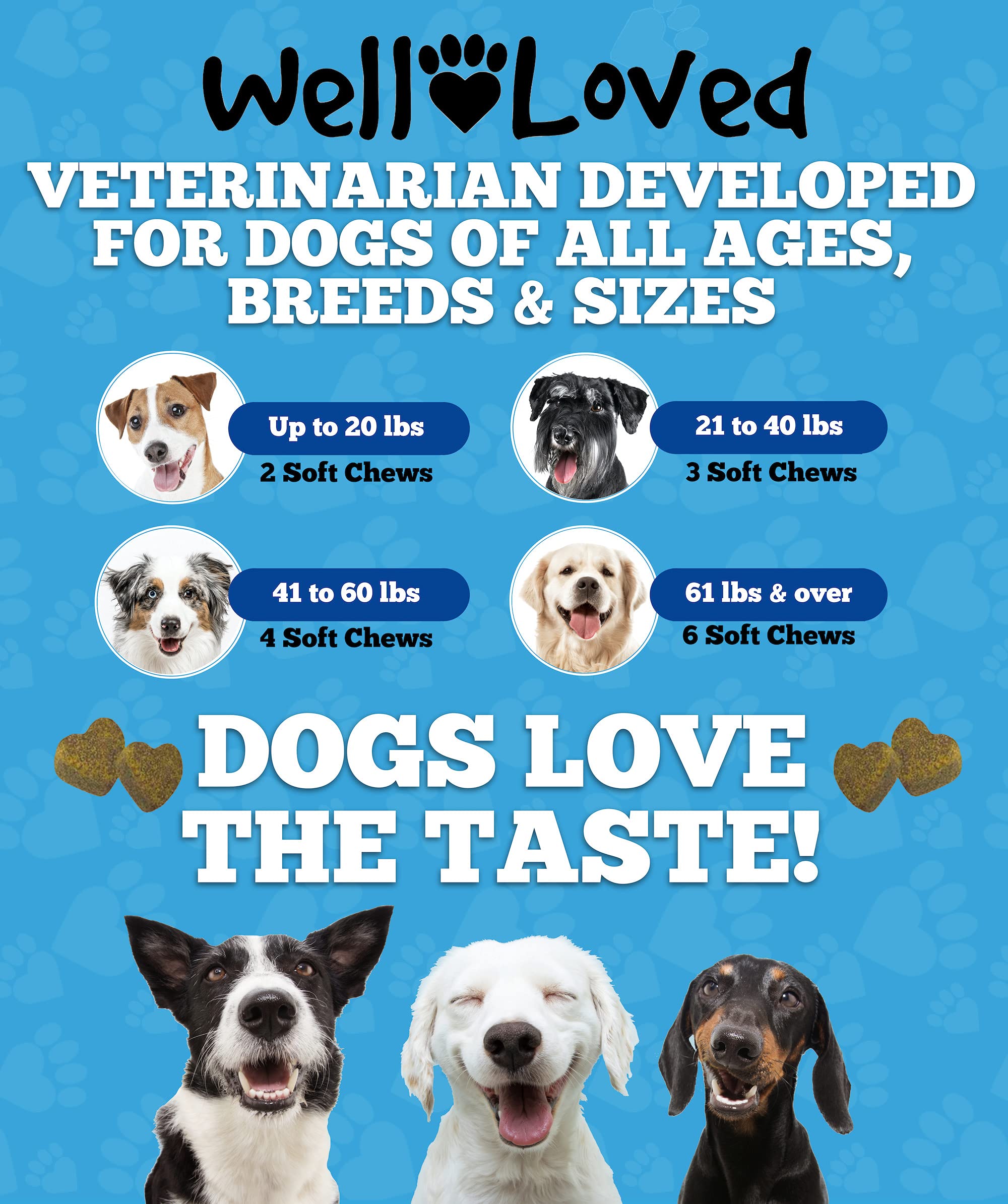 Well Loved Dog Allergy Chews seasonal allergies support for dogs enjoying outdoor time.