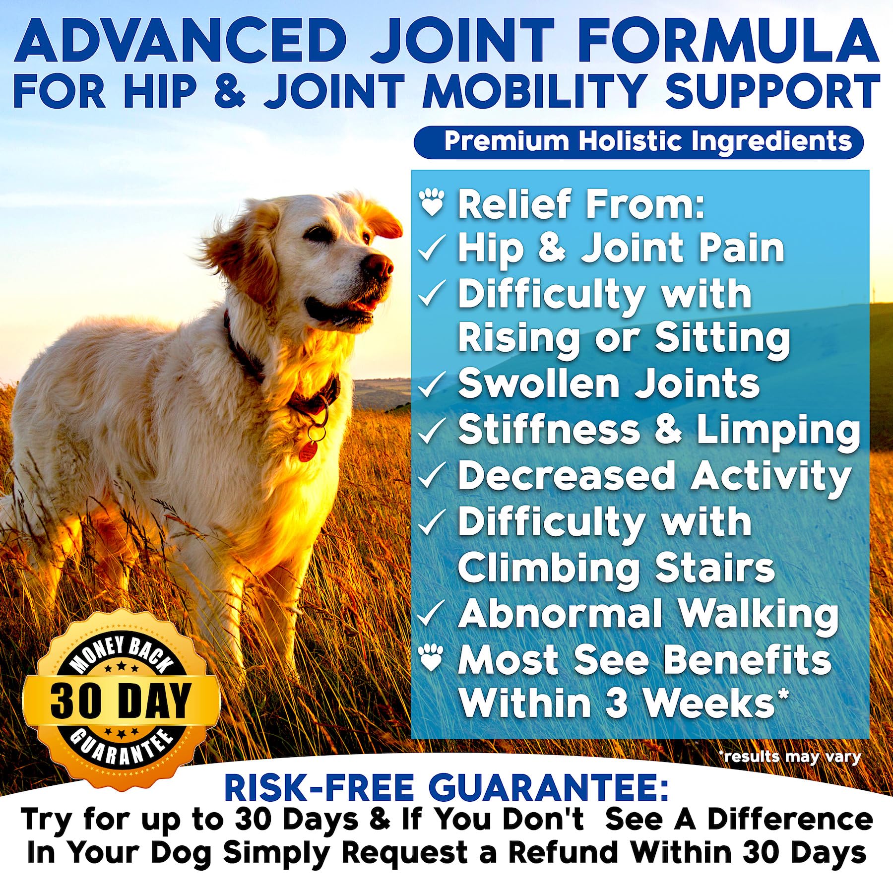 Well Loved dog hip joint chews closeup highlighting palatable, chewable joint care.