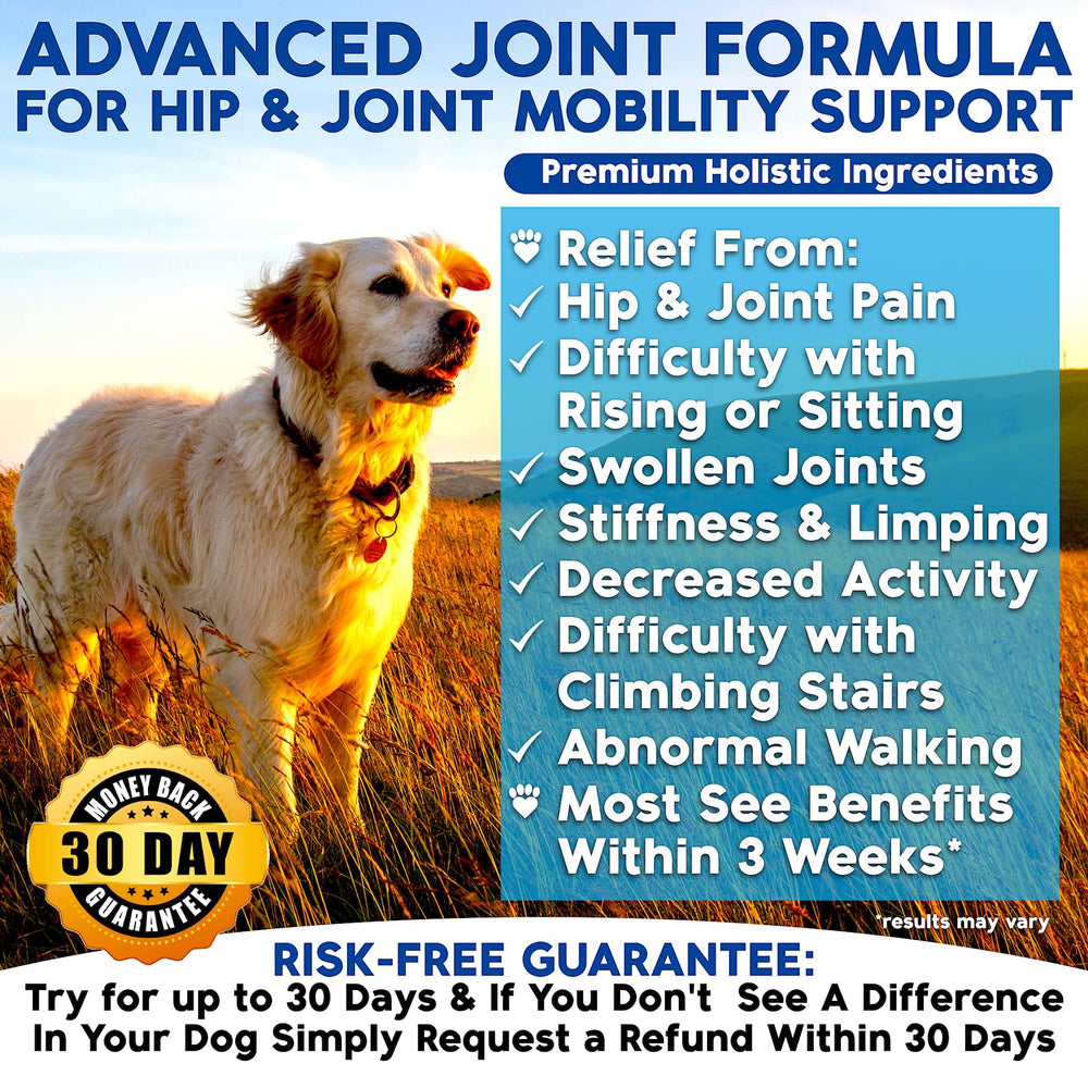 Well Loved dog hip joint chews closeup highlighting palatable, chewable joint care.