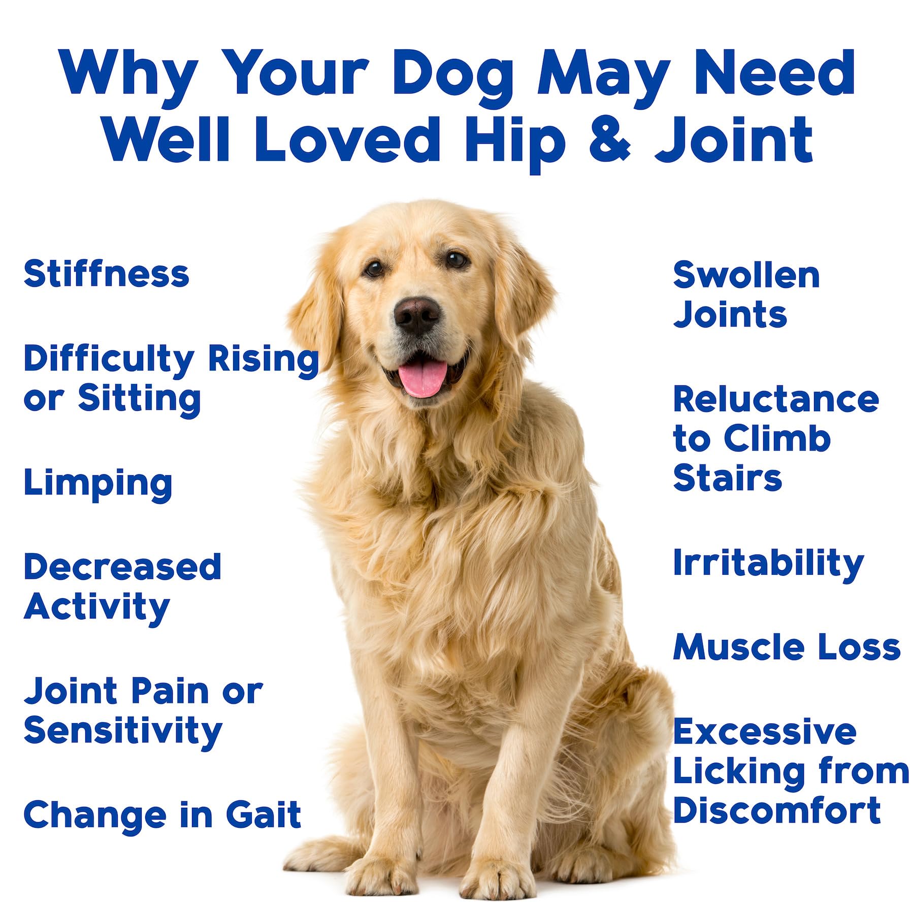 Well Loved MSM and fish oil blend section implies anti-inflammatory, omega-3 support.