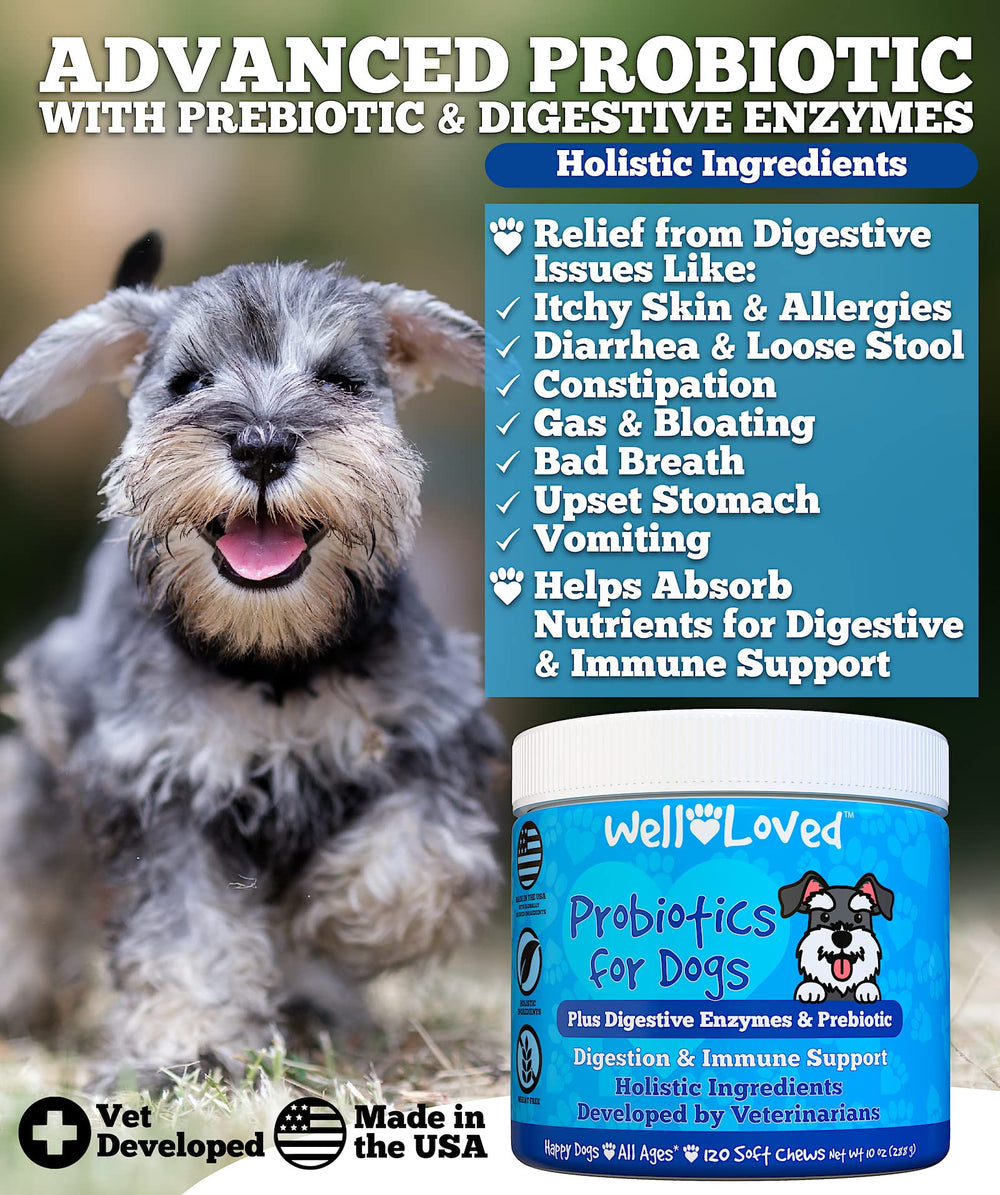 Well Loved Probiotics for Dogs chew texture appeals to dogs during daily care.