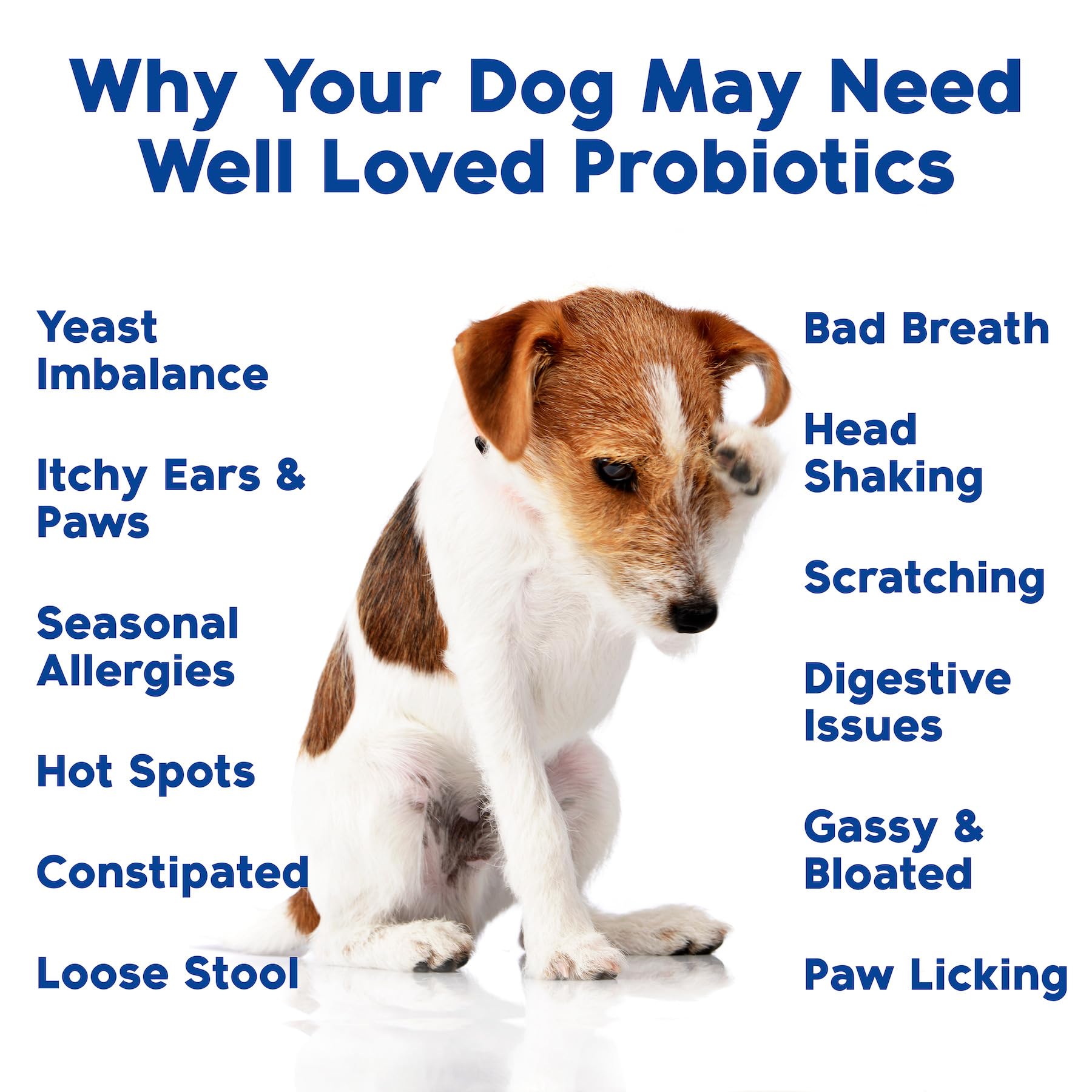 Well Loved Probiotics for Dogs grain-free ingredients label focus.