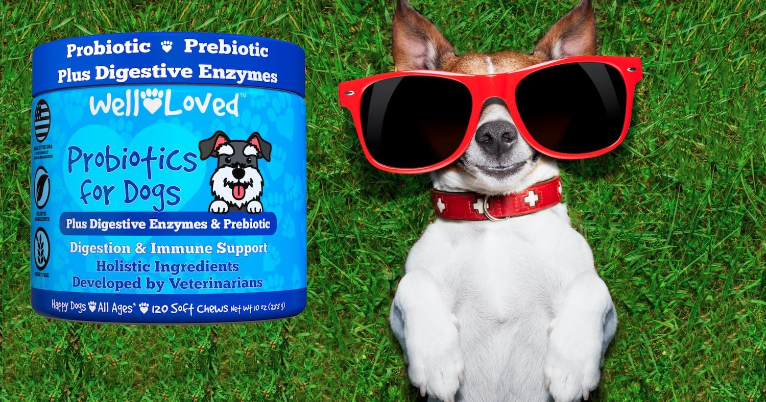 Well Loved Probiotics for Dogs may support immune balance and overall comfort.