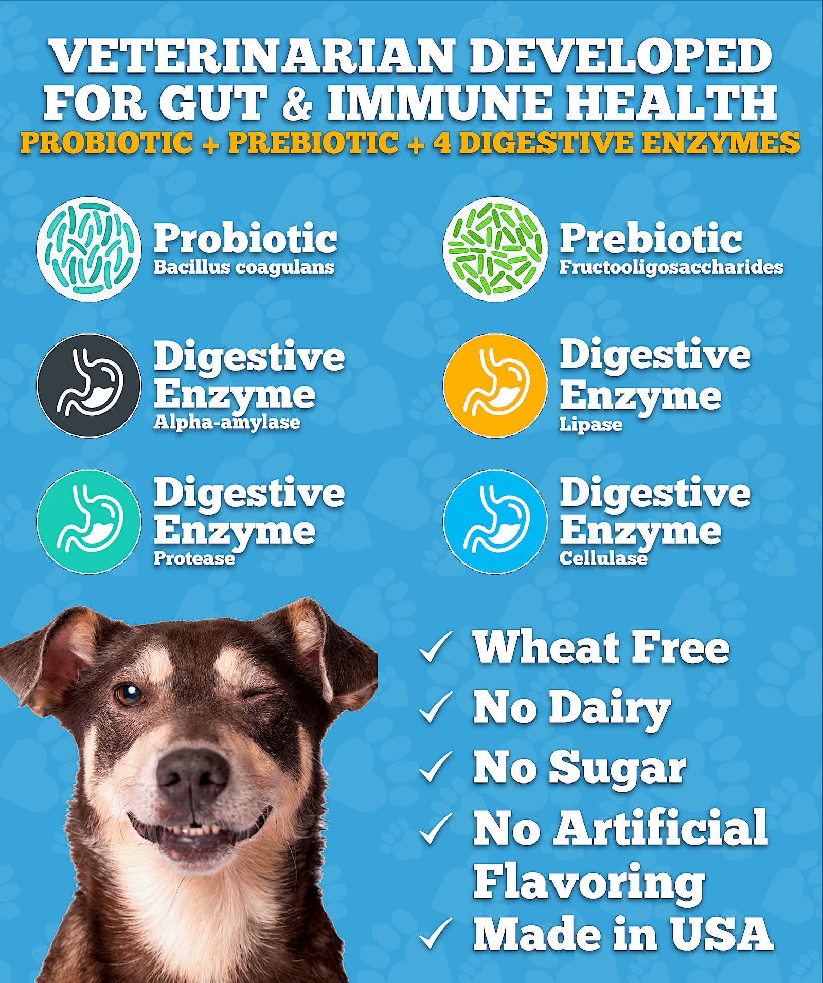 Well Loved Probiotics for Dogs prebiotic ingredient visual supporting gut health.