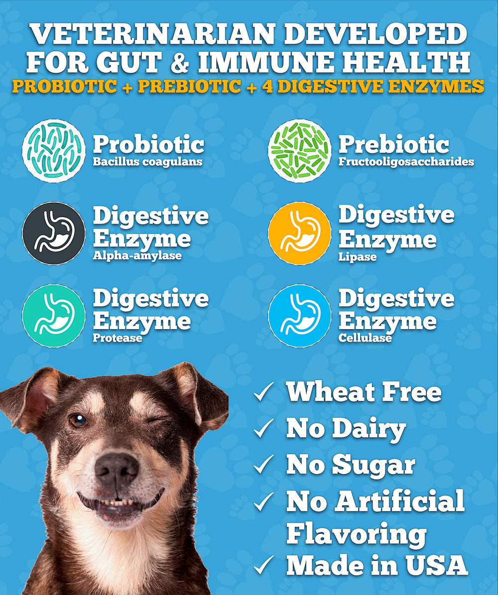 Well Loved Probiotics for Dogs prebiotic ingredient visual supporting gut health.