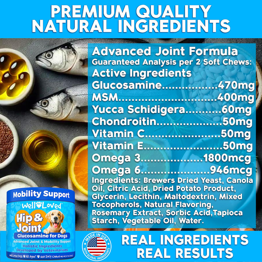 Well Loved vet-developed formulation banner underlines professional-backed canine joint support.