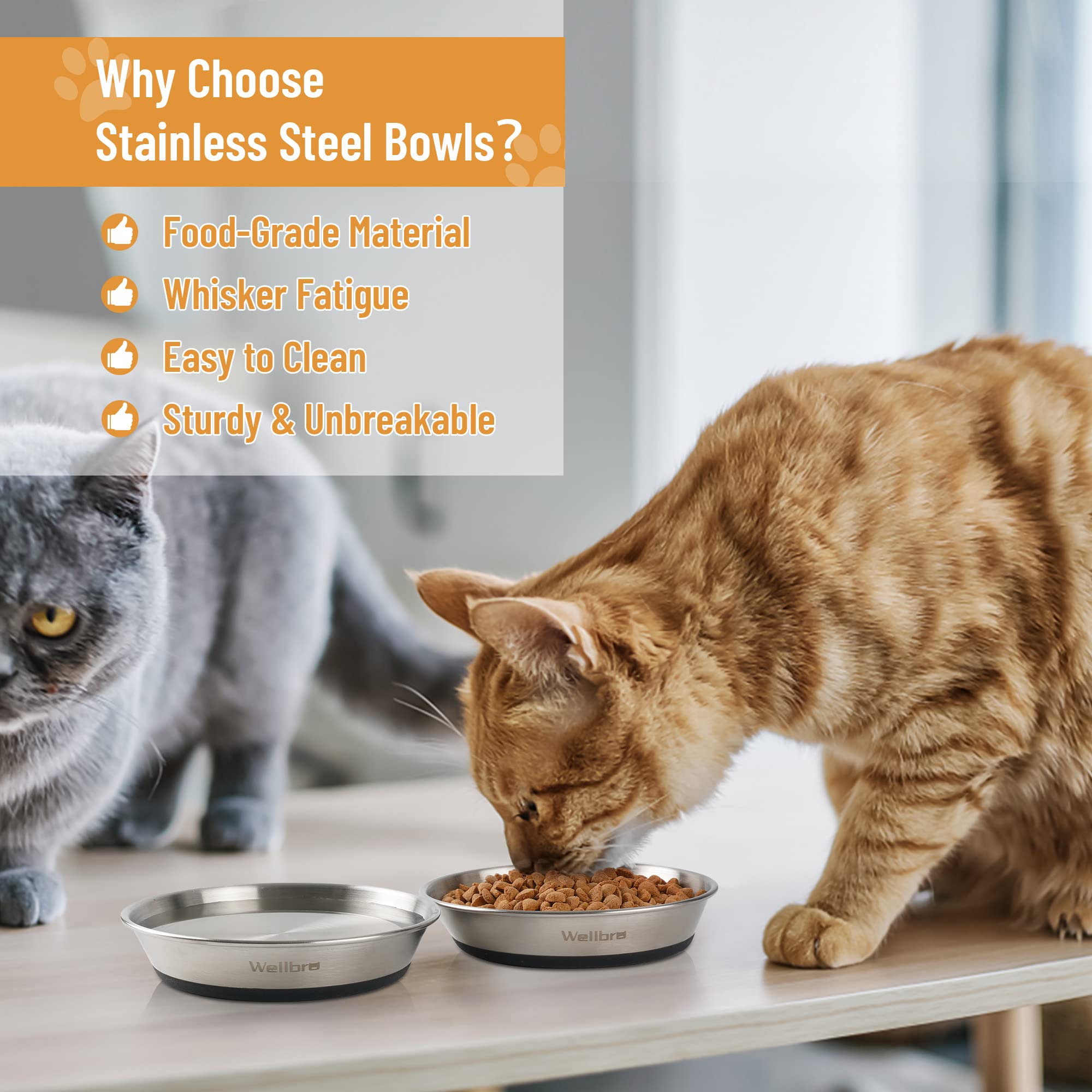 Wellbro cat bowls anti-slip base keeps bowls steady during feeding.