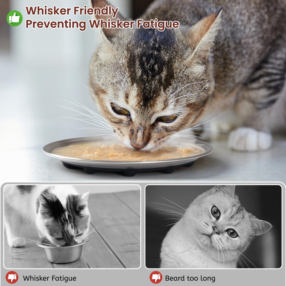 Wellbro cat bowls are dishwasher-safe and resist lingering odors