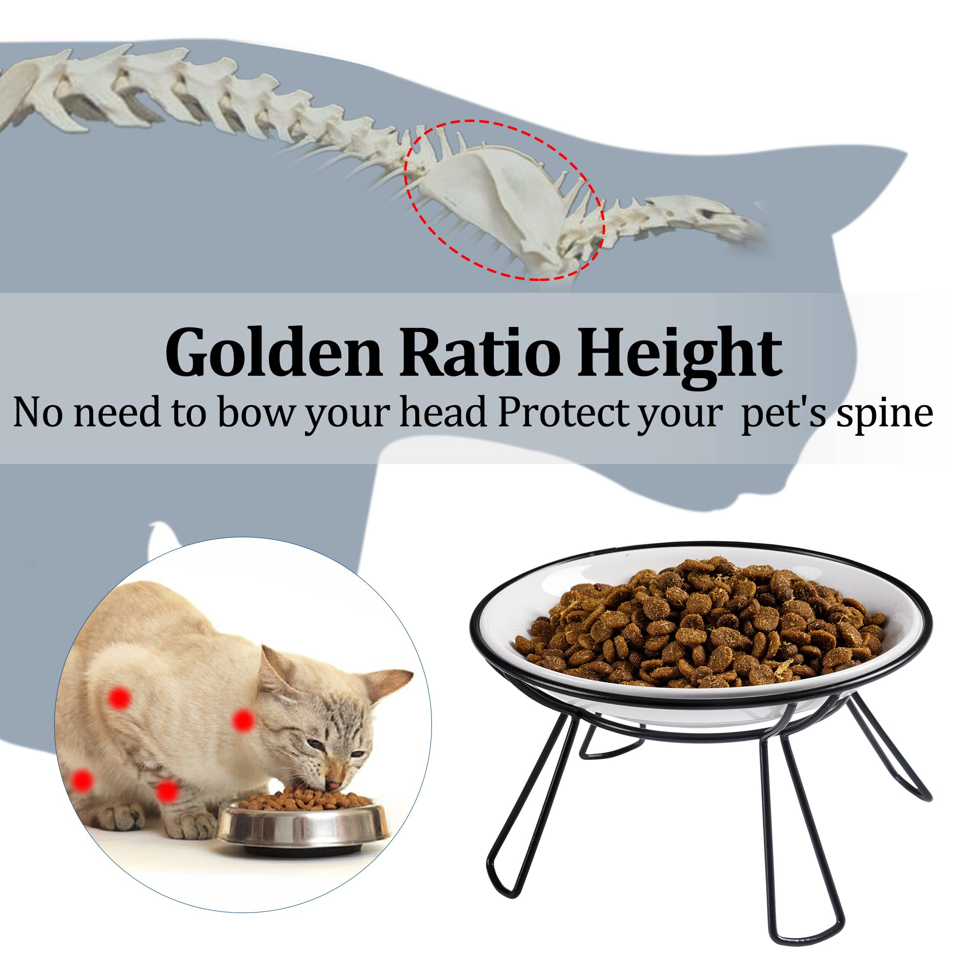 Wellbro cat bowls dual ceramic dishes for water and food separation at a glance