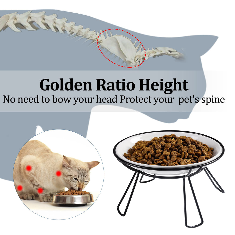 Wellbro cat bowls dual ceramic dishes for water and food separation at a glance
