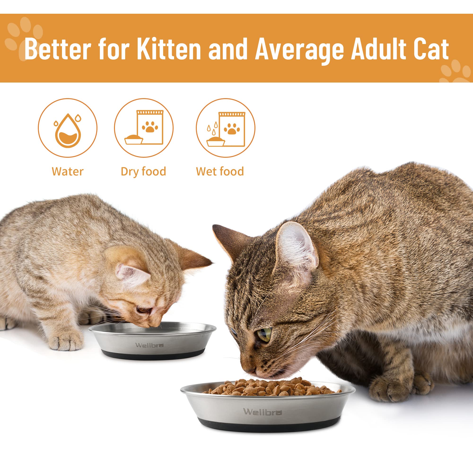 Wellbro cat bowls five-point-nine-inch-diameter near size reference suitable for kibble, wet food, and treats.