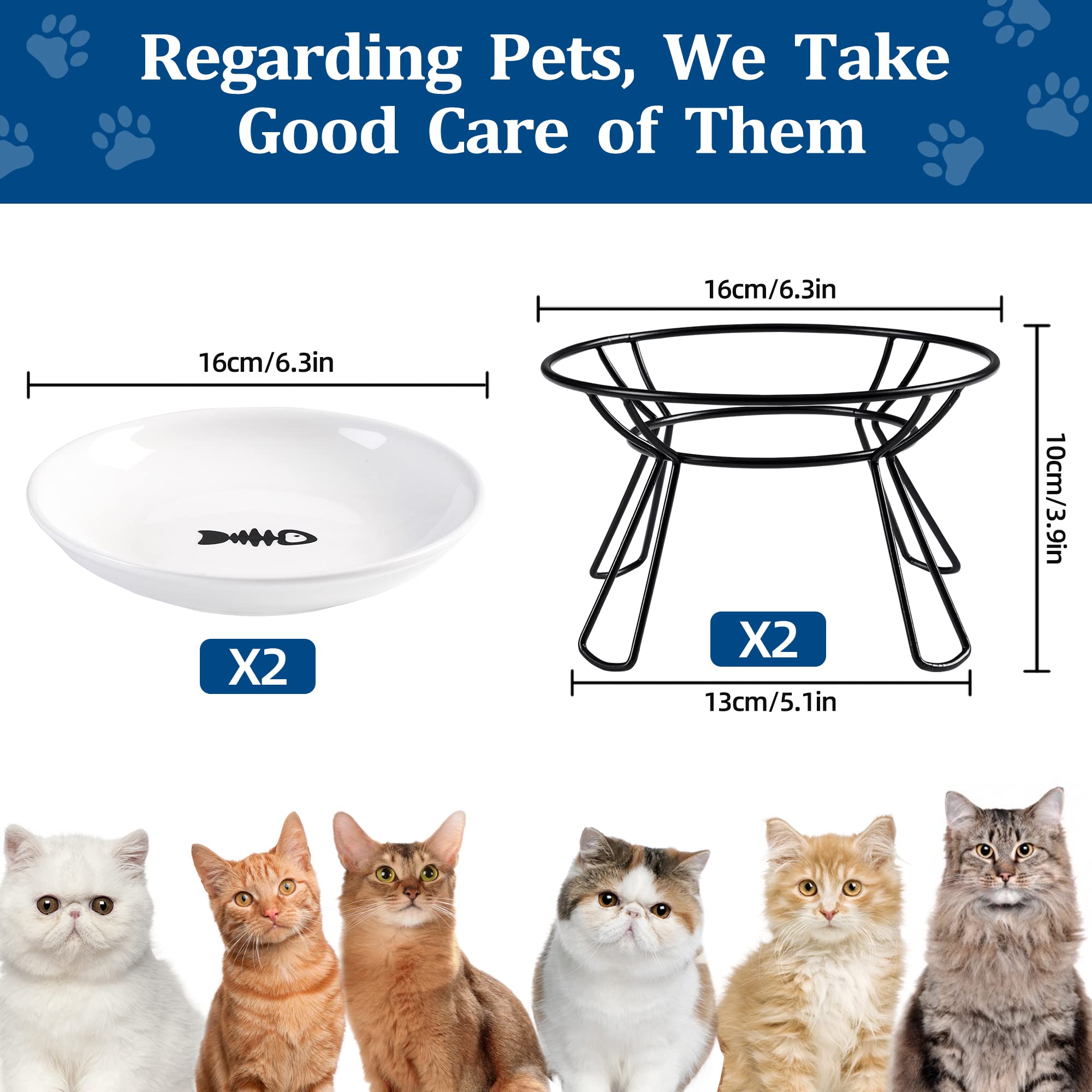 Wellbro cat bowls food bowl closeup emphasizing wide whisker-friendly dish