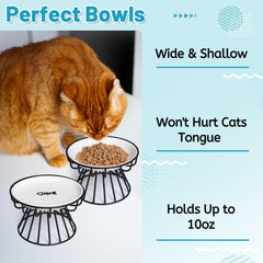 Wellbro cat bowls sturdy metal stand supports stable mealtime