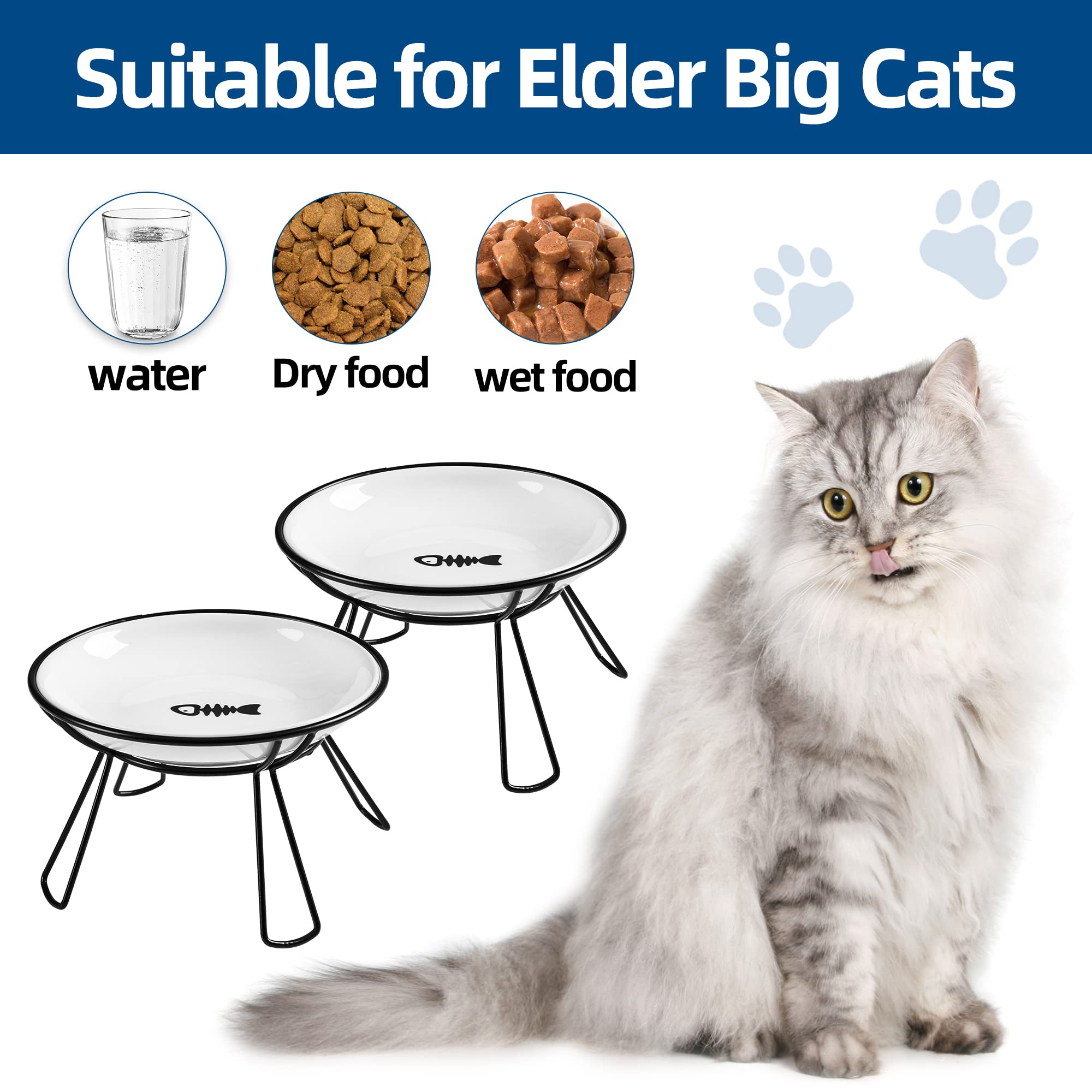 Wellbro cat bowls water bowl closeup highlighting ceramic durability
