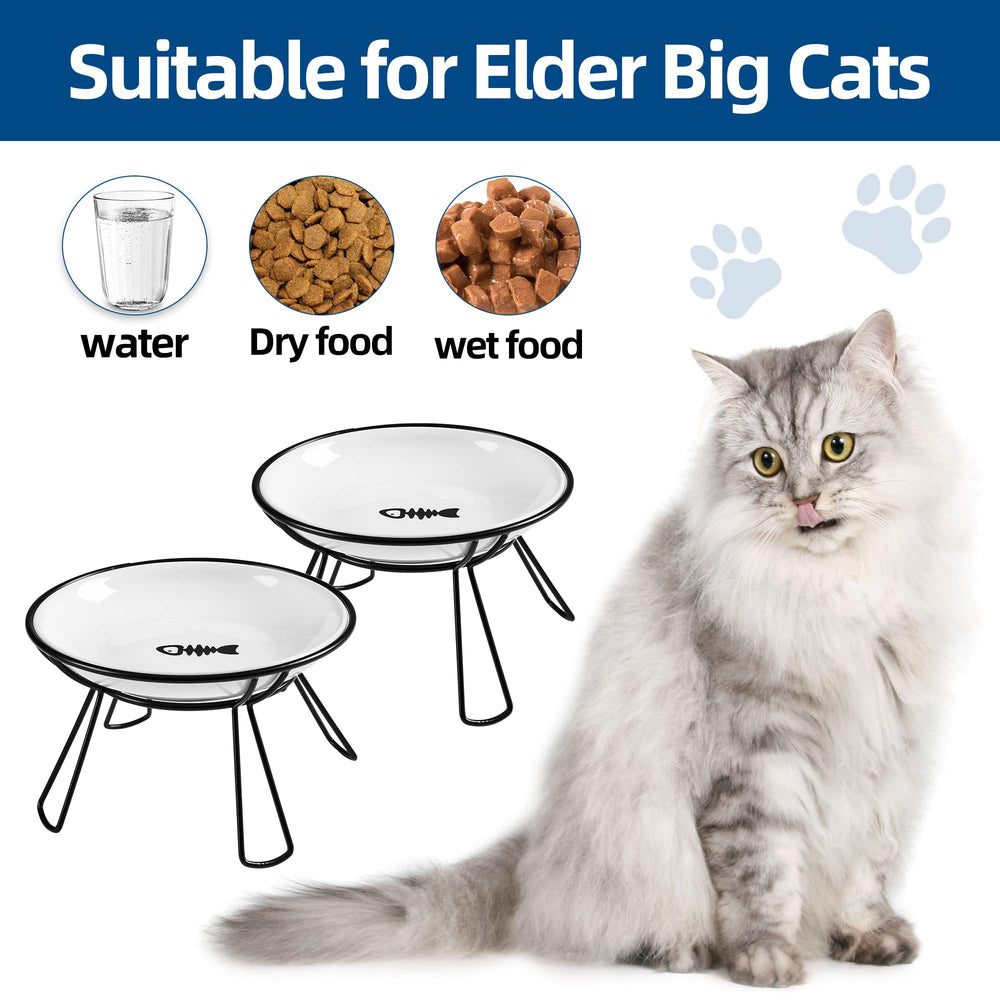 Wellbro cat bowls water bowl closeup highlighting ceramic durability