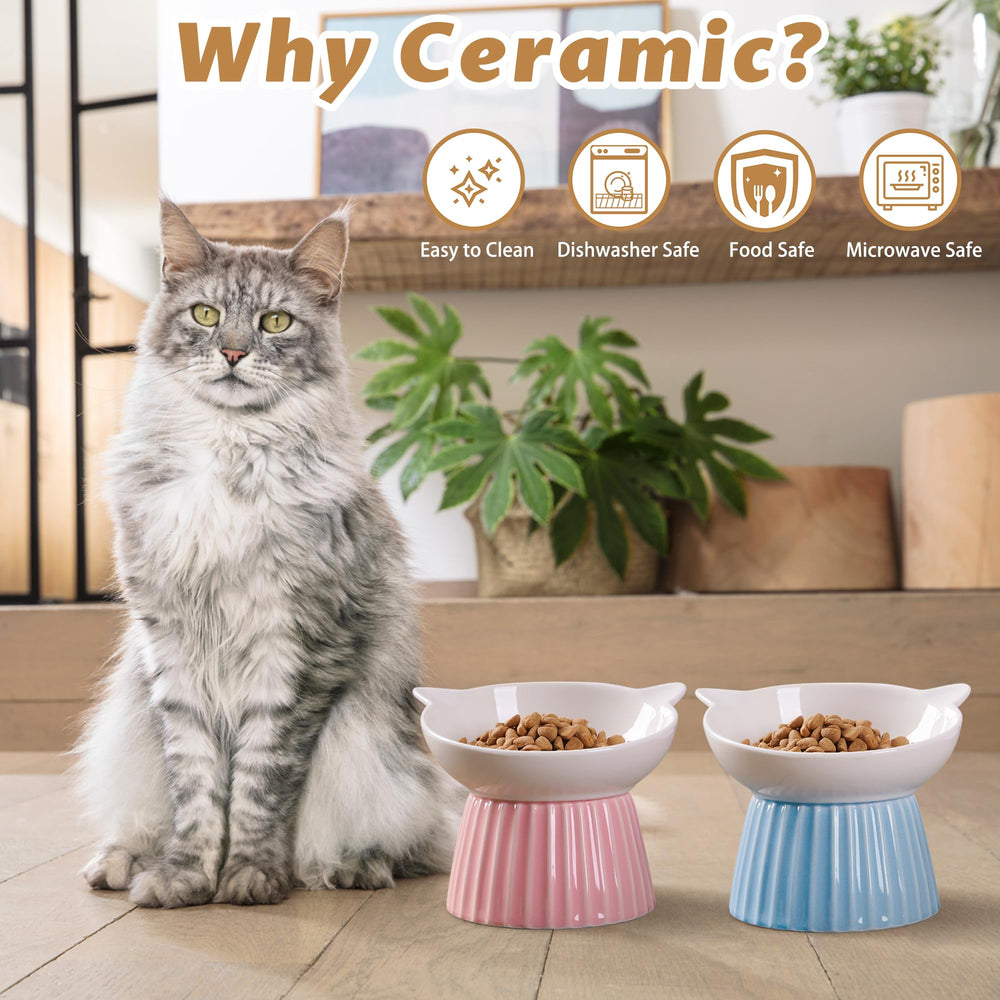 Wellbro ceramic raised cat bowl microwave-safe for convenient reheating and use.