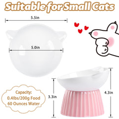 Wellbro ceramic raised cat bowl tilt-angle highlights centered food for steady eating.