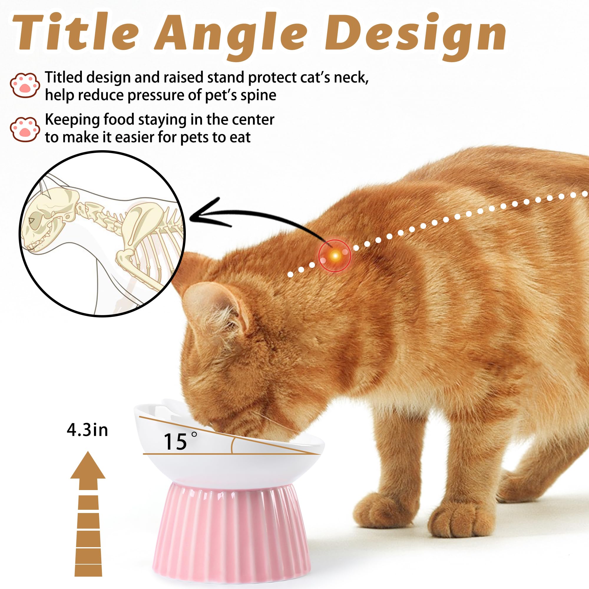 Wellbro whisker friendly wide dish prevents whisker fatigue during meals