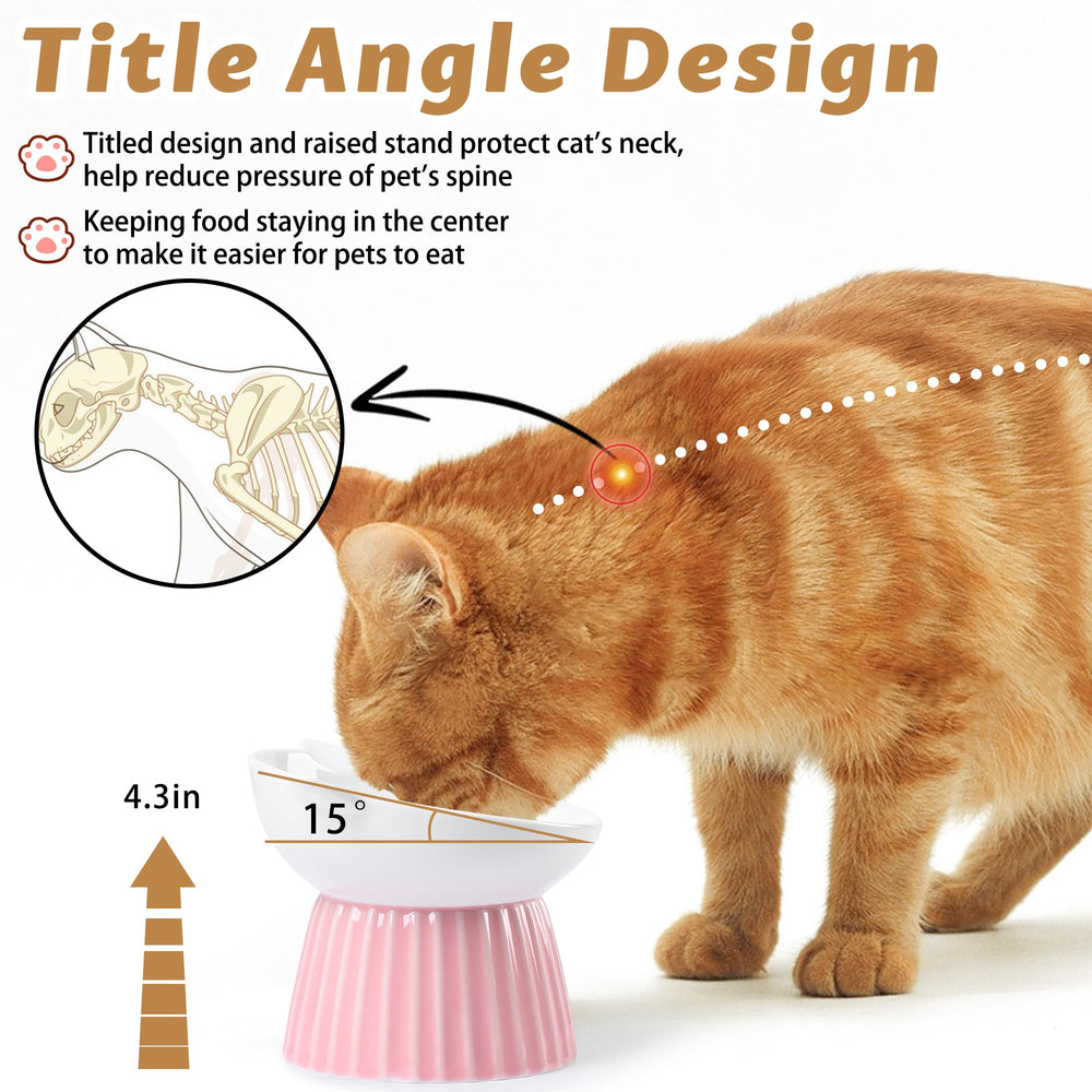 Wellbro whisker friendly wide dish prevents whisker fatigue during meals