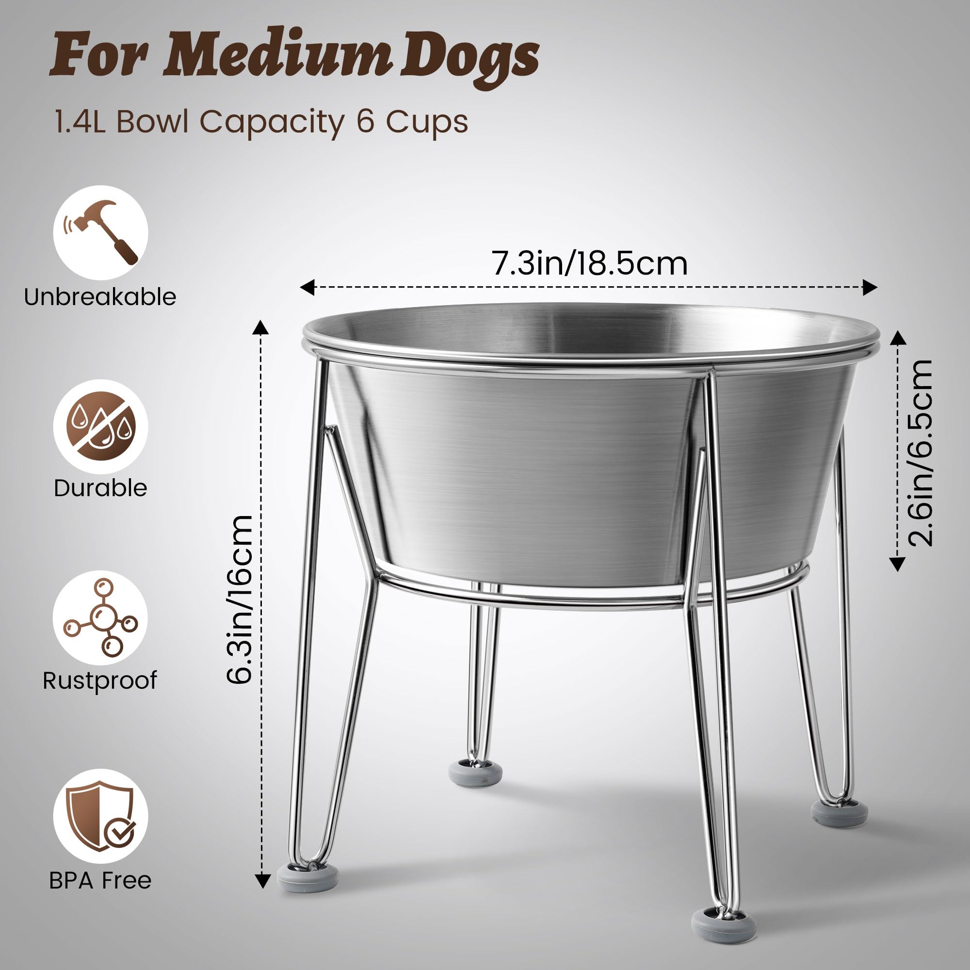 Wellbro 2-pack elevated bowls with non-slip base prevent sliding on smooth floors.