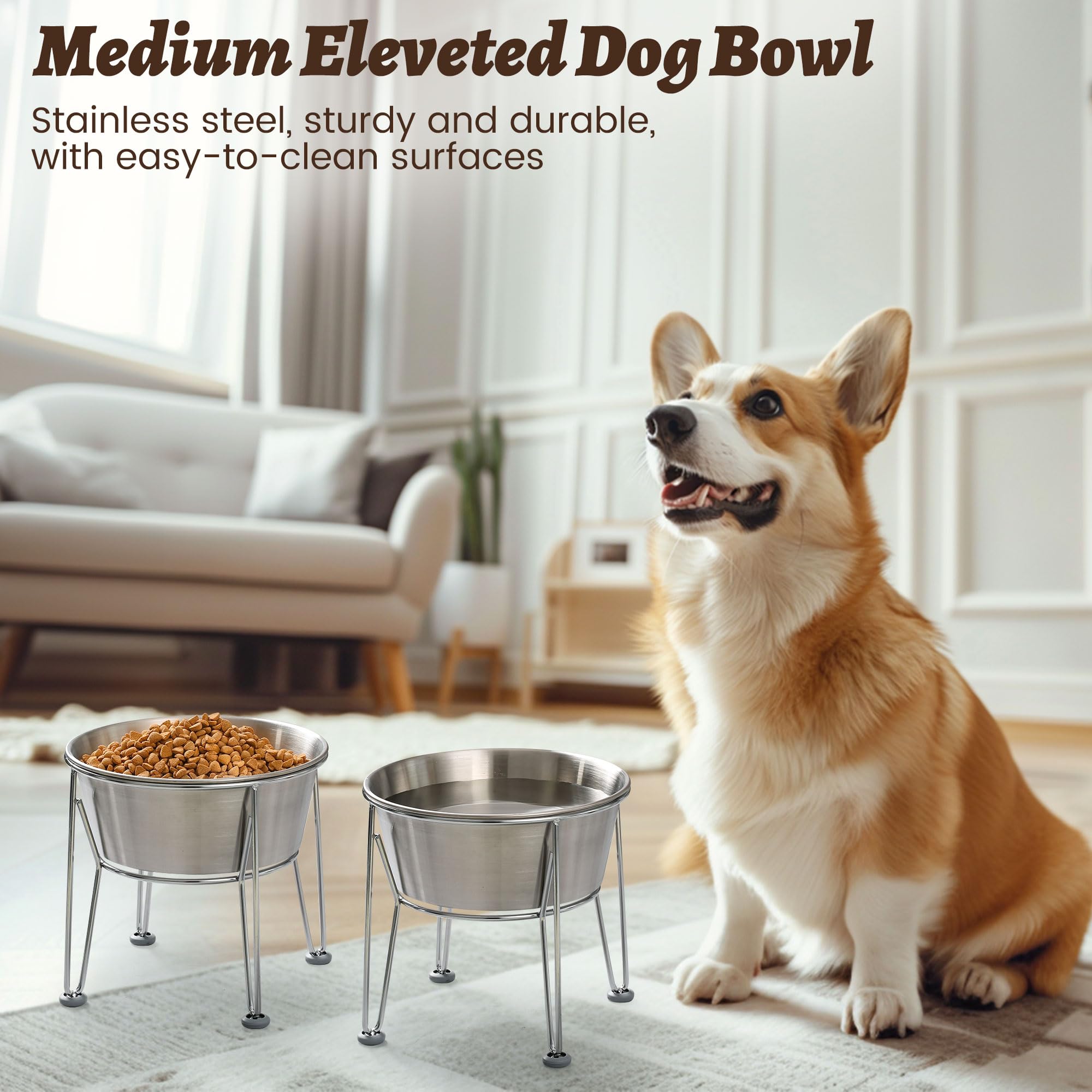 Wellbro two-bowl set provides convenient setup for meals and water.