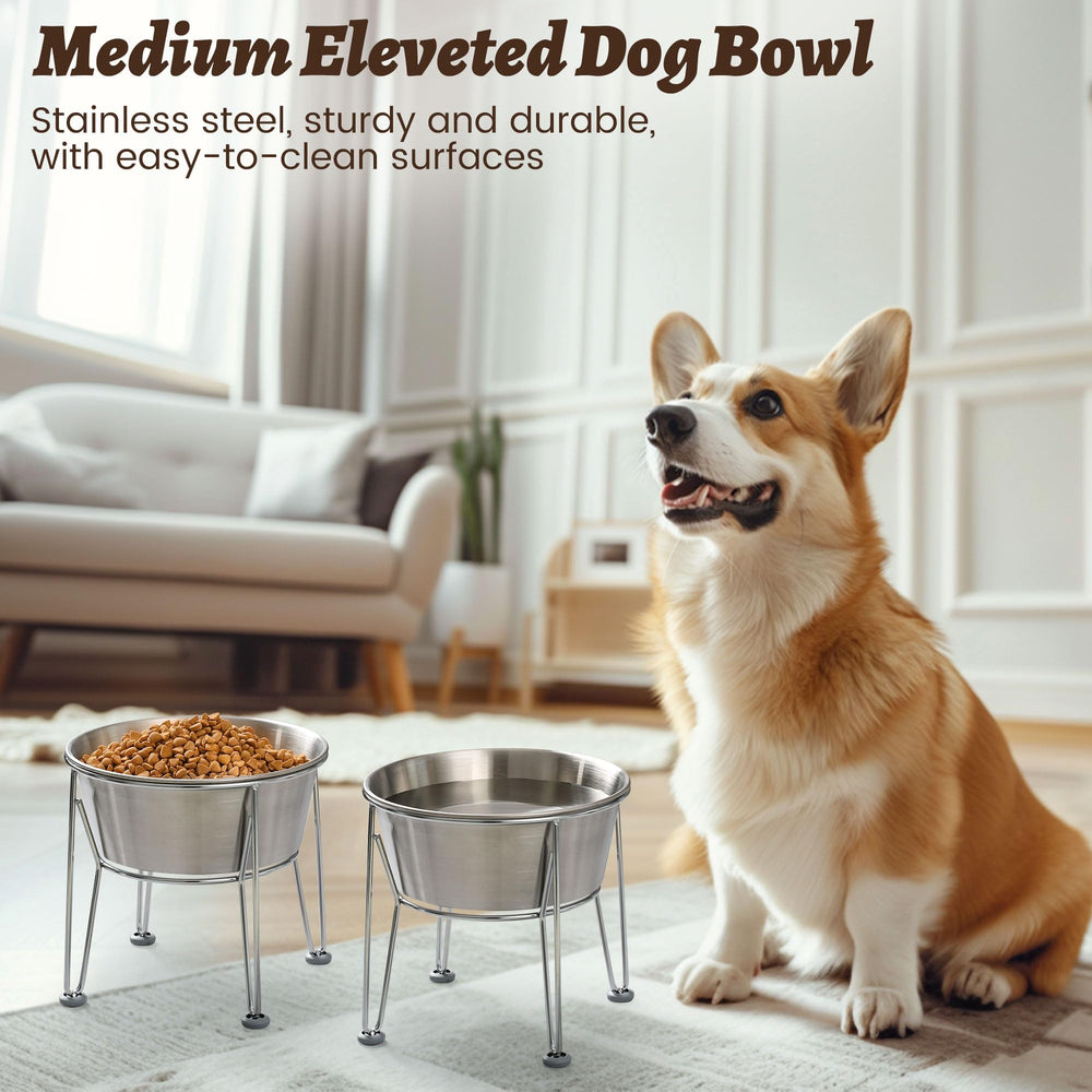Wellbro two-bowl set provides convenient setup for meals and water.