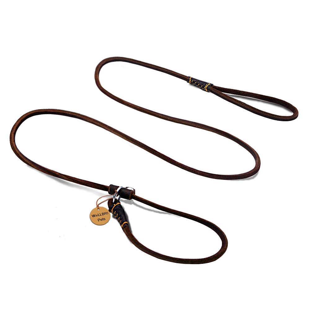 Wellbro slip leash real leather 5ft close-up shows supple brown leather for gentle control.