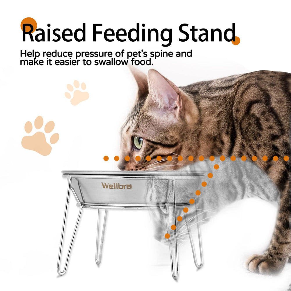 Wellbro metal stand elevates bowls for whisker-friendly dining and better posture