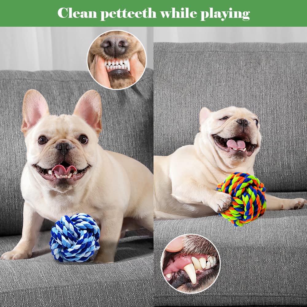 Wellbro Pet Chew Toy colors variety demonstrates vibrant pack options