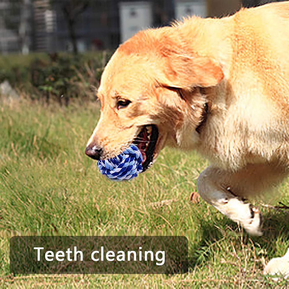 Wellbro Pet Chew Toy owner-pet bonding – interactive time enhances relationships.