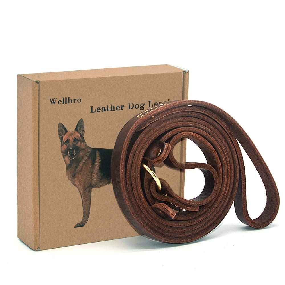 Wellbro slip leash with adjustable collar loop demonstrates easy fit for various neck sizes.