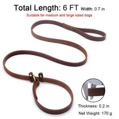 Wellbro leather slip lead on dog jogger scenario highlighting control without choking risk.