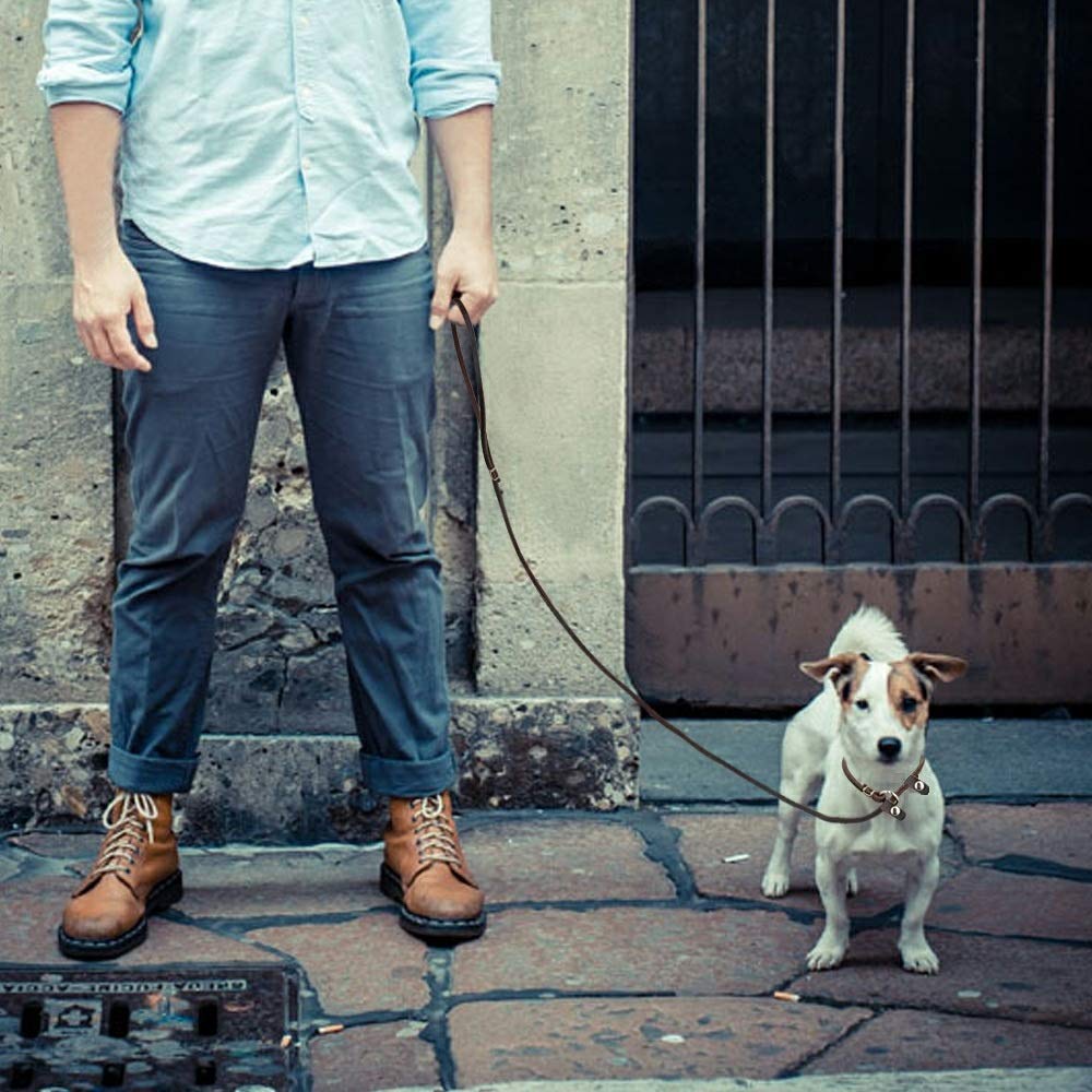 Wellbro compact travel slip leash in brown suggests easy pocket carry.