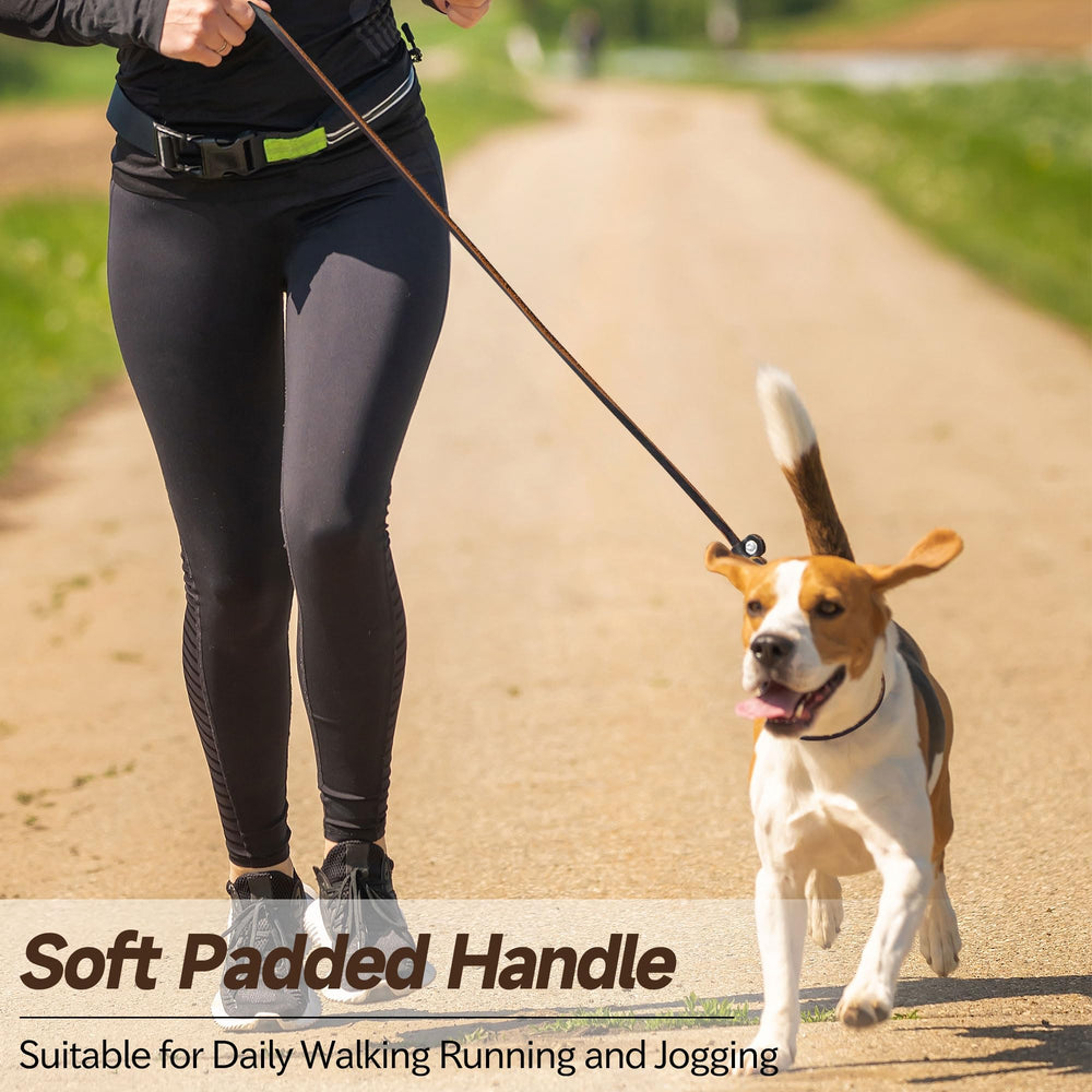 Wellbro small-dog walking image highlights slim width and gentle control for puppies.