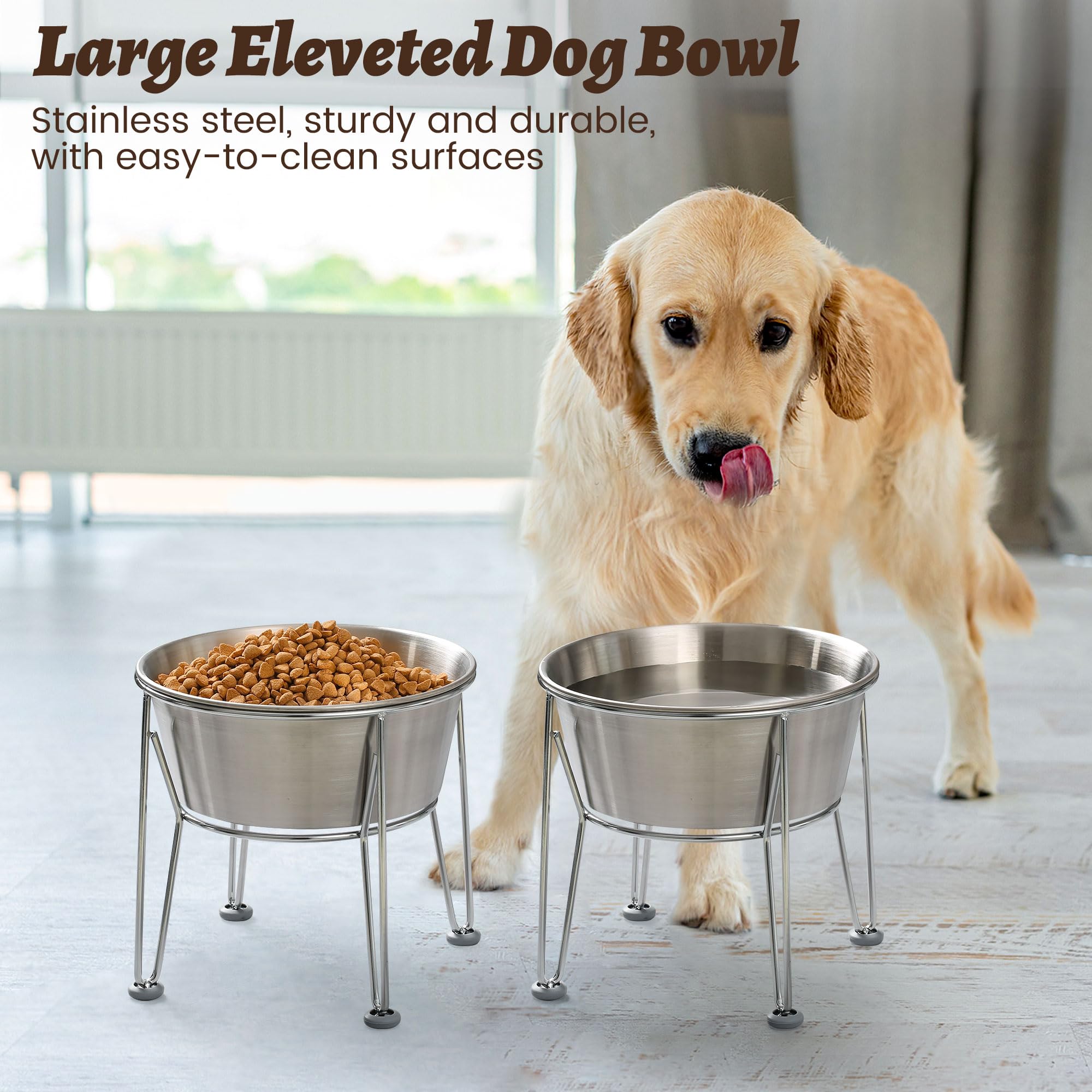 Wellbro two-pack elevated bowls set for multi-pet households.