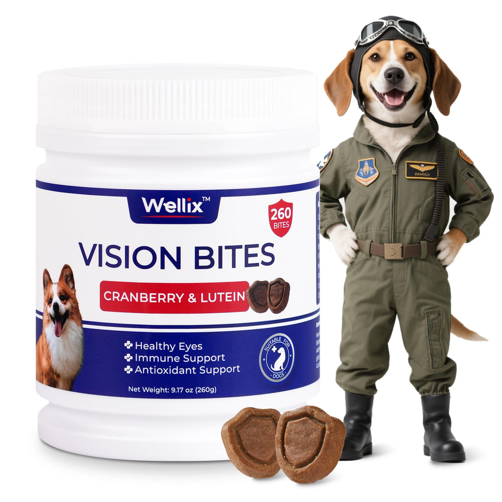 Wellix 260 Bites Vision Chews front view support healthy vision for dogs with daily use