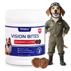 Wellix 260 Bites Vision Chews front view support healthy vision for dogs with daily use