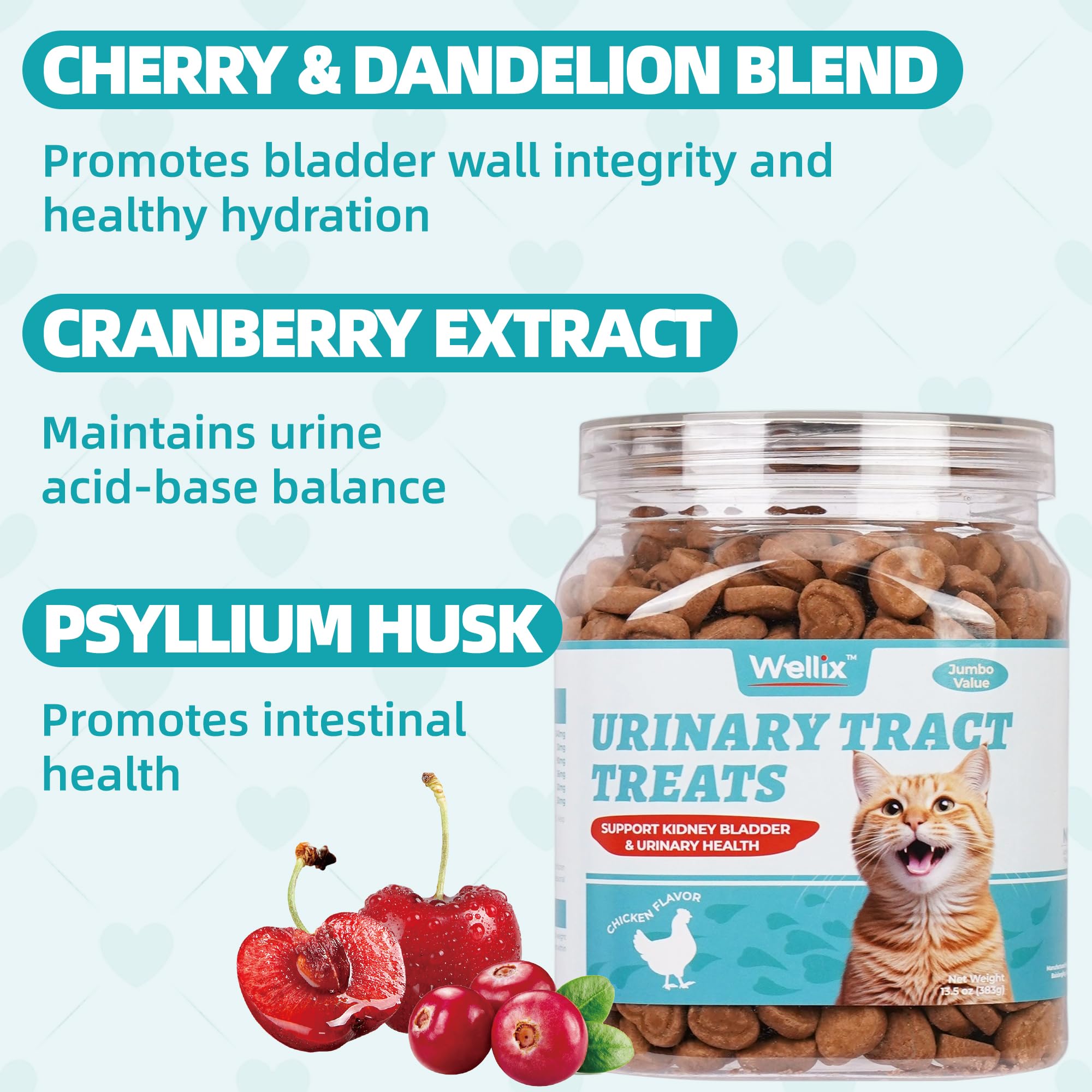 Wellix cat treats training-reward shows a tasty, calorie-conscious snack for successful training sessions.